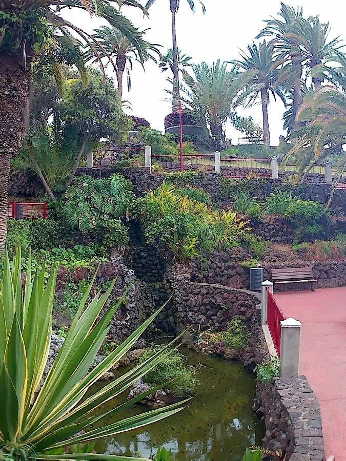 Apartment Estudio Brillante, Confortable Y Agradable Puerto de la Cruz